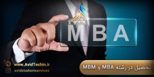 تحصیل رشته MBA و MBM در کشور هلند موسسه آوید