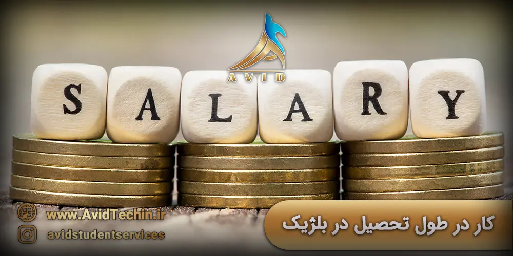 کار در طول تحصیل بلژیک